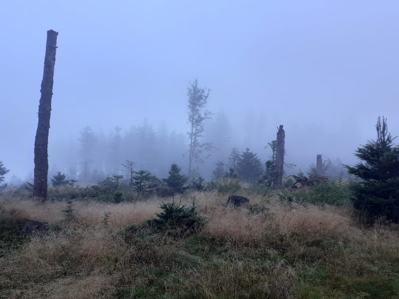 Camping Les Trexons Herfst Vergezichten