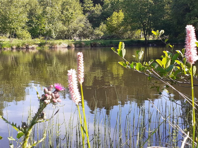 Camping Les Trexons Vijver Flora