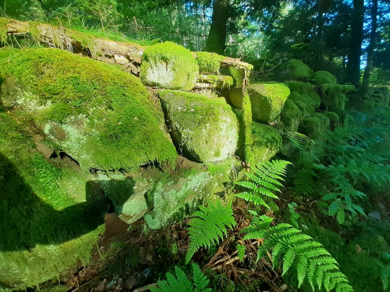Camping Les Trexons Wandelroutes