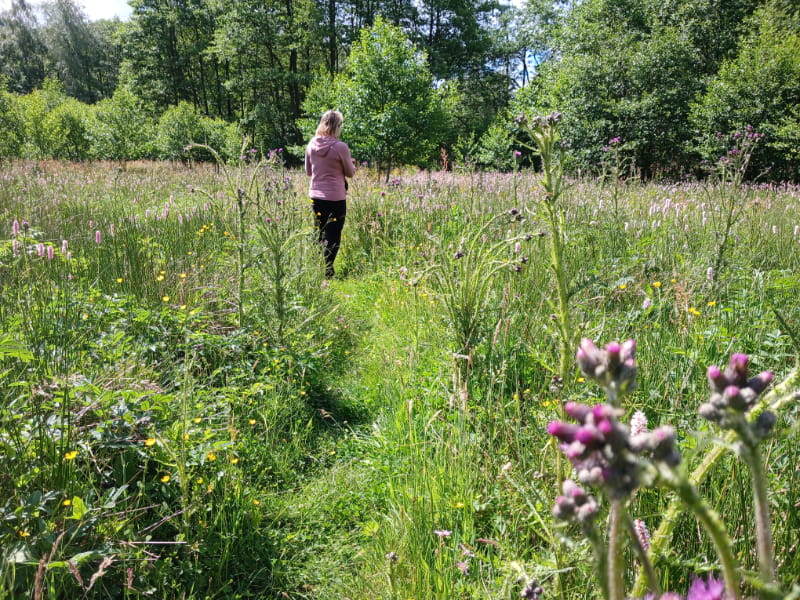 Camping Les Trexons Wandelroutes Flora