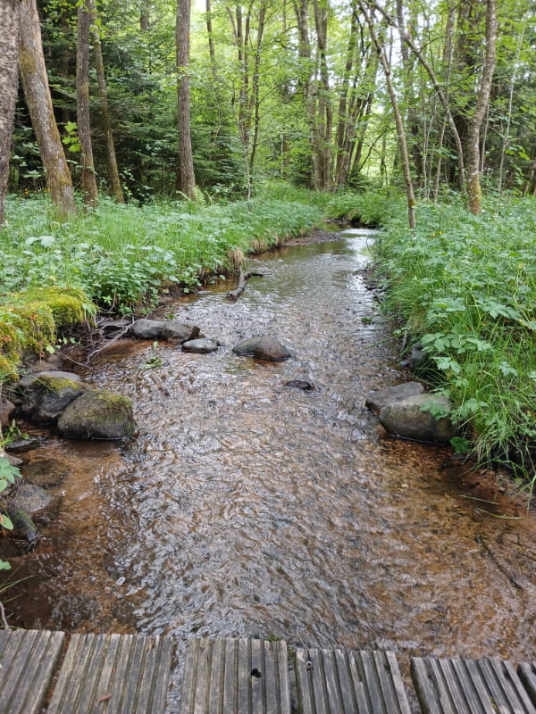 Camping Les Trexons Beek Wandelroute