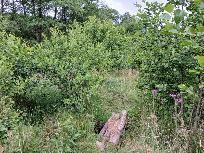 Camping Les Trexons Beek & Omgeving