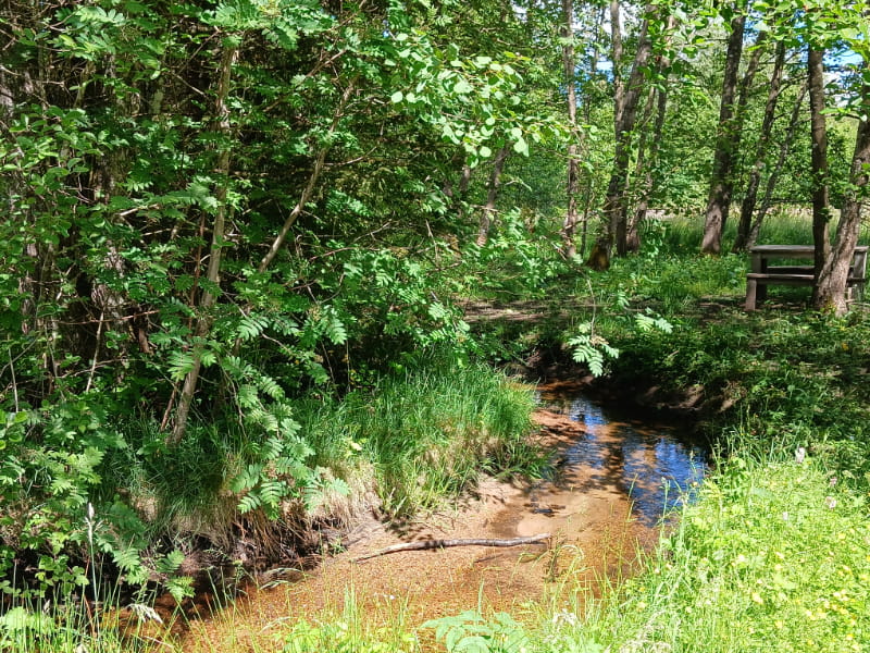 Camping Les Trexons Wandelroute Beek Picknick